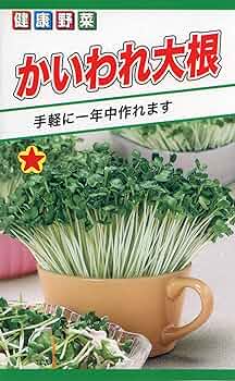 かいわれ大根様 さくらかいわれ - すぷらうとくらぶ